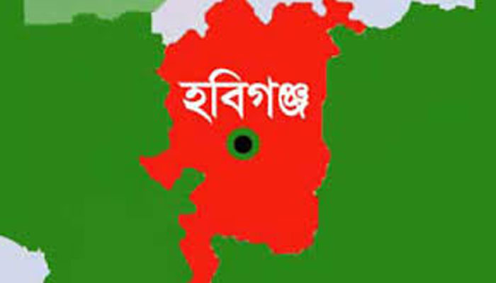 হবিগঞ্জের বানিয়াচংয়ে সড়ক দুর্ঘটনায় একজন নিহত
