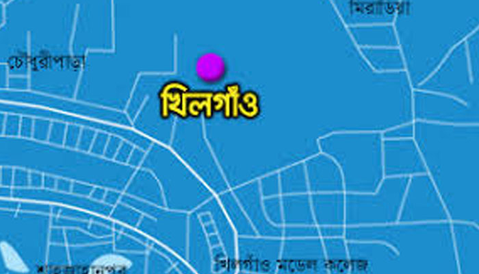 খিলগাঁওয়ে ট্রাকের ধাক্কায় বৃদ্ধ নিহত