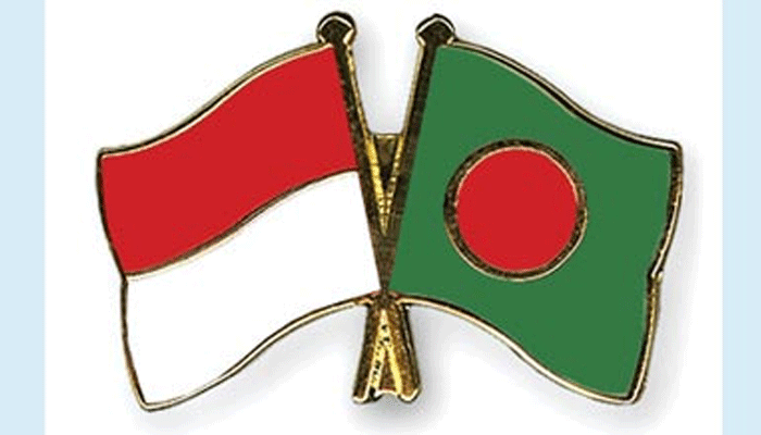আজ বঙ্গভবনে বসছেন শেখ হাসিনা ও ইন্দোনশেয়িার প্রেসিডেন্ট