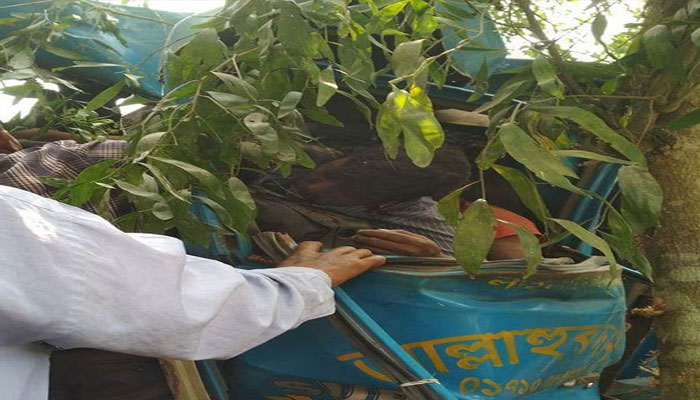 গোপালগঞ্জের কাশিয়ানীতে বাস-পিকআপের সংঘর্ষে ৩ জন নিহত