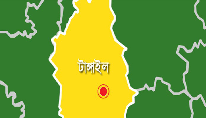 টাঙ্গাইলে গাড়িচাপায় অটোচালক নিহত