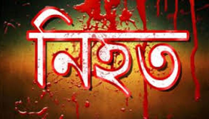 টাঙ্গাইলে সড়ক দুর্ঘটনায় নিহত ৪