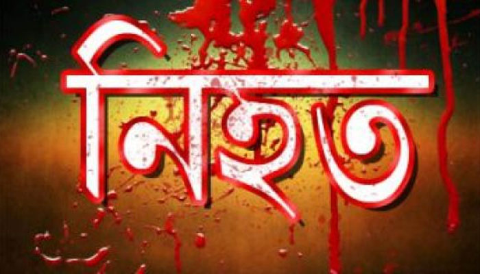 সড়ক দুর্ঘটনায় ময়মনসিংহ, ঝিনাইদহে নিহত ৩