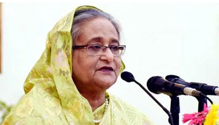 পাটের ব্যাগ প্লাস্টিকের বিকল্প হিসেবে কাজ করবে : প্রধানমন্ত্রী