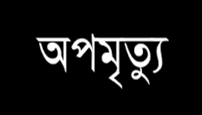 নওগাঁয় ট্রাকের ধাক্কায় ভ্যানচালকের মৃত্যু