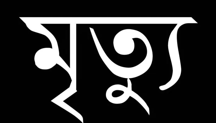নওগাঁয় বিদ্যুৎস্পৃষ্ট হয়ে গৃহবধূর মৃত্যু