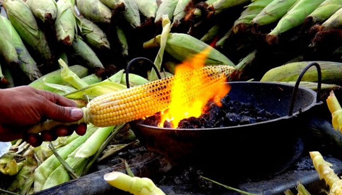 ভুট্টা খাওয়ার উপকারিতা