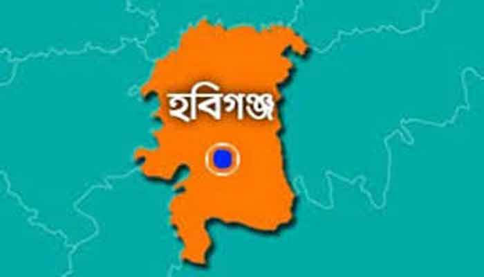 হবিগঞ্জে চান্দের গাড়ি খাদে পড়ে আহত ২০