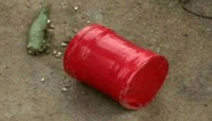 মেহেরপুরের গাংনীতে দু’টি হাতবোমা উদ্ধার