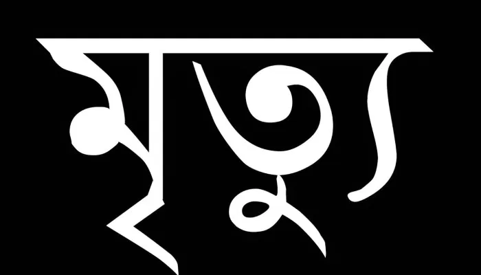 রাজধানীতে ট্রেনের ধাক্কায় দু’জনের মৃত্যু