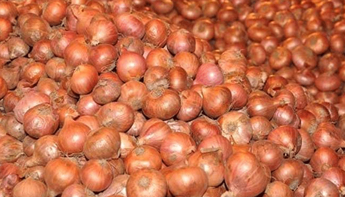হিলিতে পেঁয়াজের কেজি ১৮ টাকা
