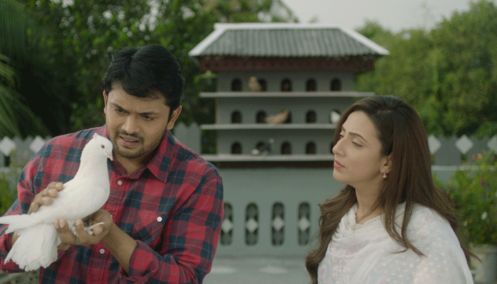 ‘সাপলুডু’ যাচ্ছে বিদেশে