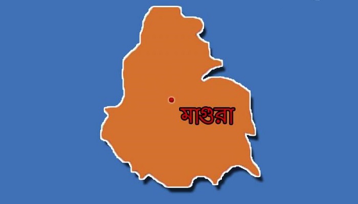 মহম্মদপুরে ইঞ্জিনচালিত ট্রলির ধাক্কায় শিশু নিহত