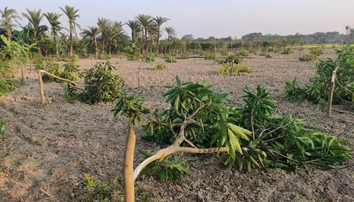এ কেমন শত্রুতা!