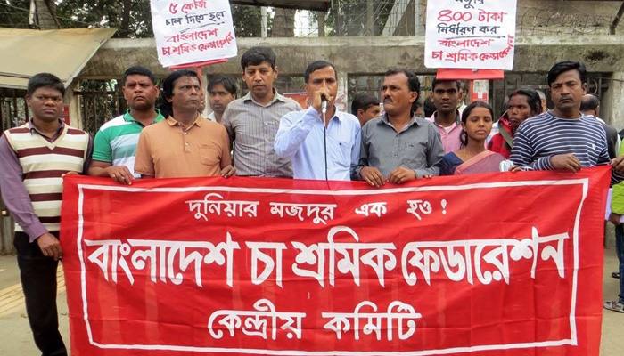 চা শ্রমিকের দৈনিক মজুরি ৪০০ করার দাবি
