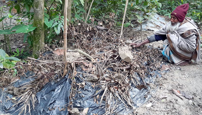 মেয়ের কবরের পাশে কাঁদছেন বৃদ্ধ বাবা