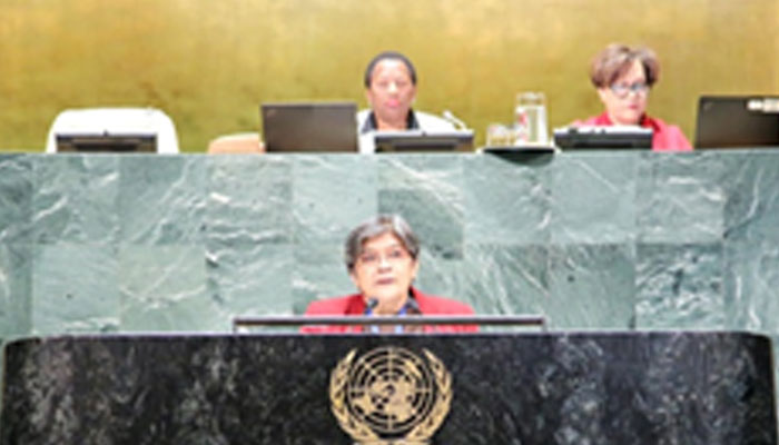 জাতিসংঘে ‘শান্তির সংস্কৃতি’ রেজুলেশন