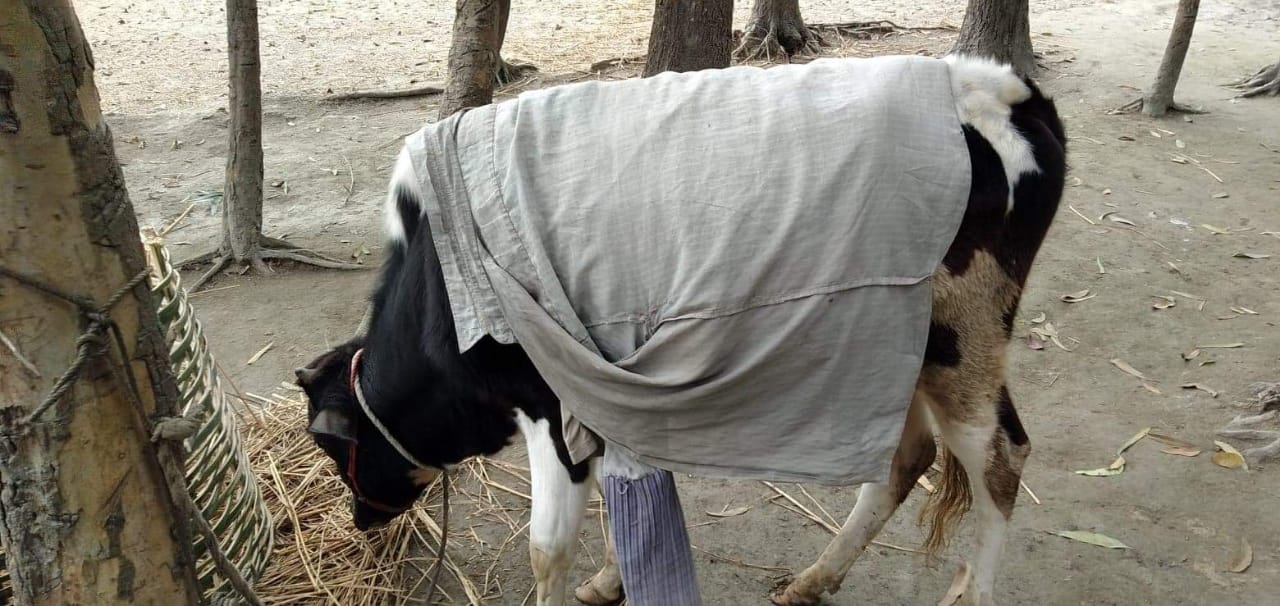 কনকনে শীতে কুড়িগ্রামে বিপর্যস্ত জনজীবন