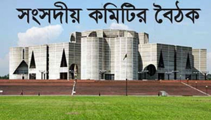 দুর্যোগ মোকাবিলায় আলাদা বিভাগ গঠনের পরামর্শ