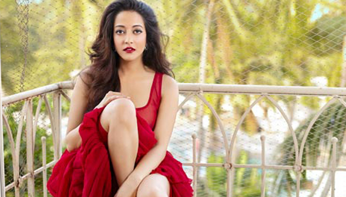 কারো কাছে জবাবদিহি করার নেই