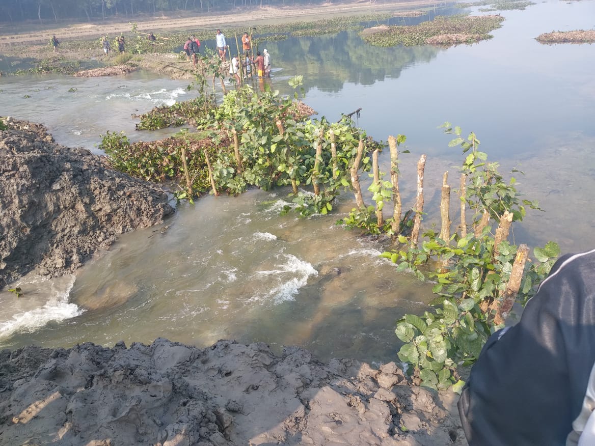 বিলের বাঁধ কাটায় উত্তেজনা, বীজতলা প্লাবিত