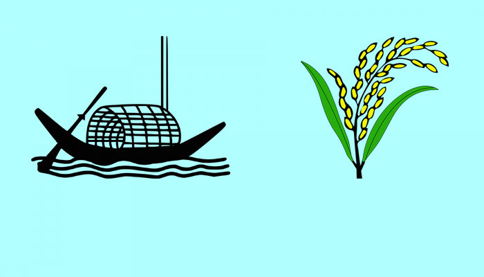 নৌকা-ধানের শীষ হাড্ডাহাড্ডি লড়াই