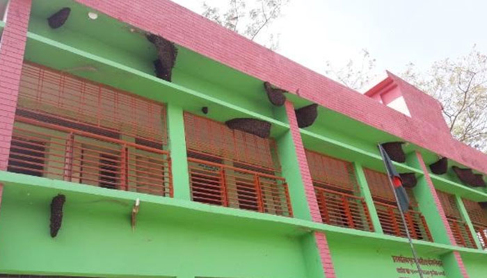 শিক্ষানুরাগী মৌমাছি