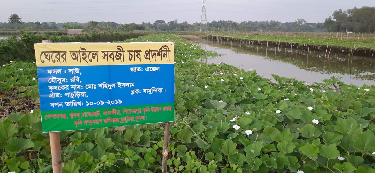 মৎস্য ঘেরের উপর সবজি চাষে কৃষকের ভাগ্য বদল