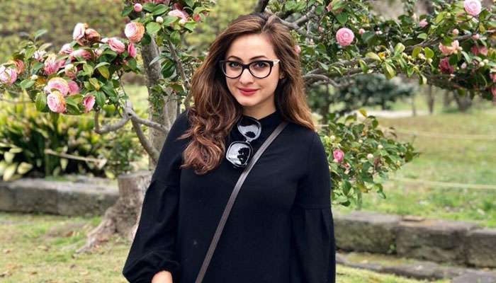 দুবাইতে গৃহবন্দি সুজানা