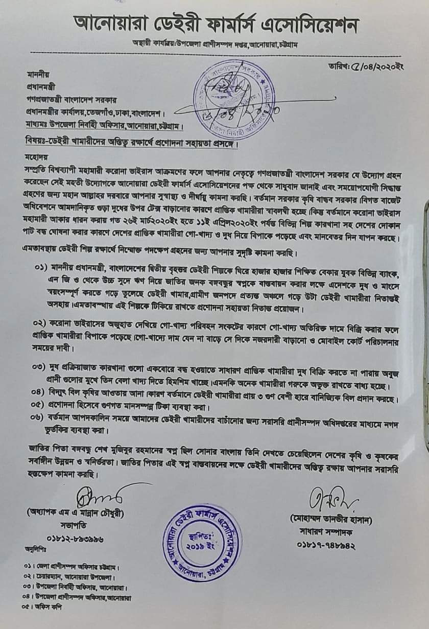 আনোয়ারায় উৎপাদিত দুধ নিয়ে বিপাকে খামারিরা