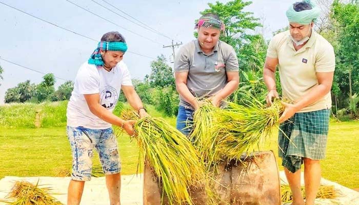 শ্রমিকসঙ্কট: ধানকাটা-মাড়াই সব করছে ছাত্রলীগ!