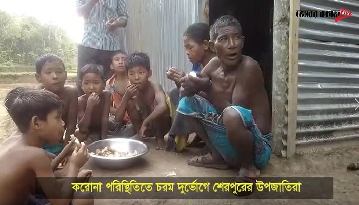 দুর্ভোগে শেরপুরের উপজাতিরা, পাচ্ছেন না ত্রাণ