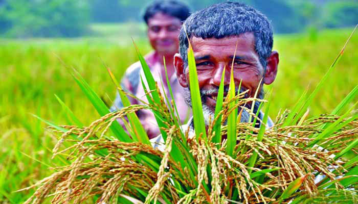 জামানত ছাড়াই নিম্নআয়ের মানুষের জন্য ঋণ