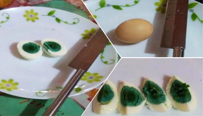 মুরগিরা দিচ্ছে সবুজ কুসুমের ডিম, কেন?