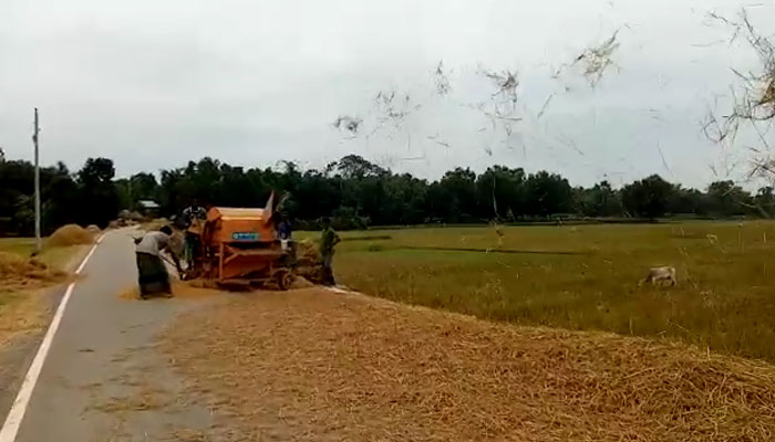 পাকা রাস্তায় ধান মাড়াই