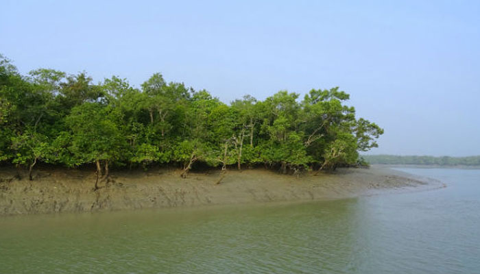 টিসিবির তেল কালোবাজারি: সাবেক ছাত্রলীগ নেতা আটক