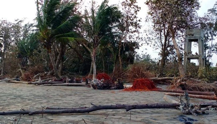 আমফানে লণ্ডভণ্ড কুয়াকাটা উপকূলের বনাঞ্চল