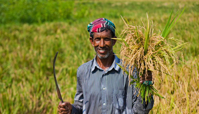 ধান ক্রয়ে জেলা-উপজেলায় কৃষকলীগের কমিটি