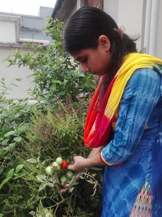 সখের কাজে কাটছে সময়