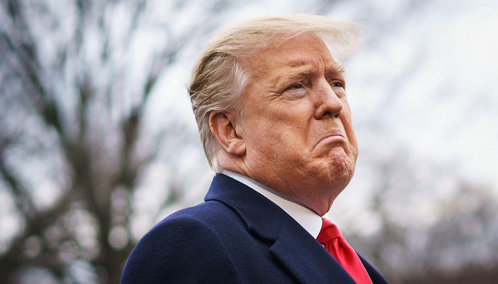 ‘উন্মাদ’ ট্রাম্পের কাণ্ডকীর্তি লিখছেন ভাতিজি