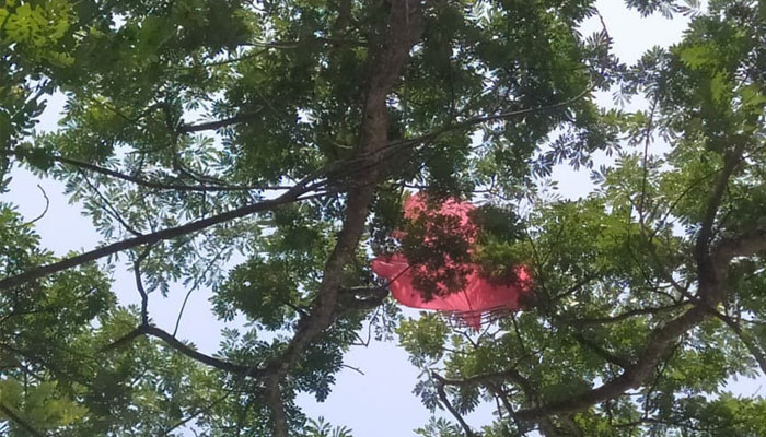 ঘুড়ি কেড়ে নিল স্কুল শিক্ষার্থীর প্রাণ
