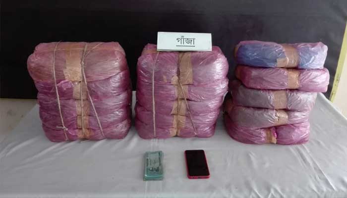 ধানমণ্ডিতে ২৯ কেজি গাঁজা জব্দ, গ্রেপ্তার ২
