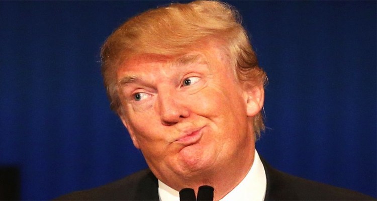 ‘উন্মাদ’ ট্রাম্পের কাণ্ডকীর্তি লিখছেন ভাতিজি