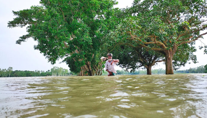 ৯৮-এর রেকর্ড ছুঁতে যাচ্ছে এবারের বন্যা