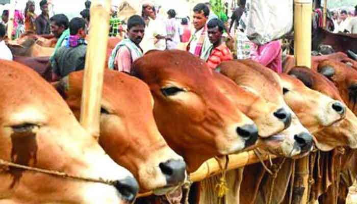 বেপারি-ইজারাদার হতাশ
