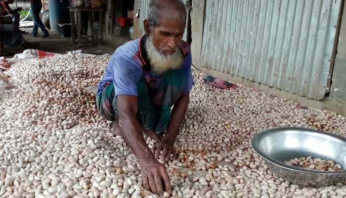 ফুলবাড়ীয়ার কাঁঠাল বীজ যাচ্ছে বিদেশে