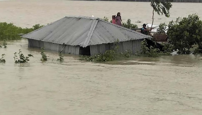 ভাঙনে দিশাহারা নদীপাড়ের মানুষ