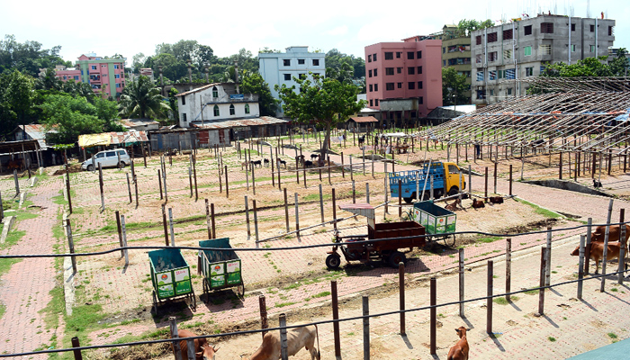 করোনায় কুরবানির পশুরহাটে জনসমাগম নিয়ে শঙ্কা