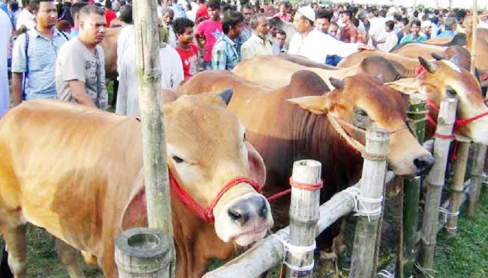 এবার ভার্চুয়ালে জমবে কুরবানির পশুরহাট