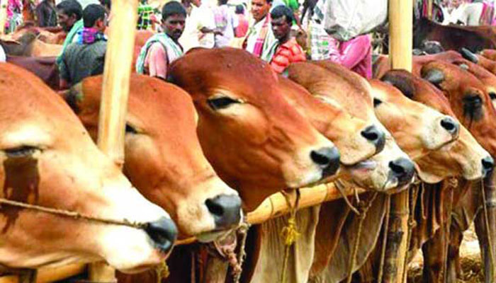 স্বাস্থ্যবিধি উপেক্ষিতই রইল!